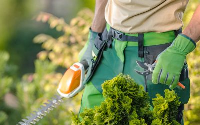 Faire appel à un jardinier paysagiste à domicile.