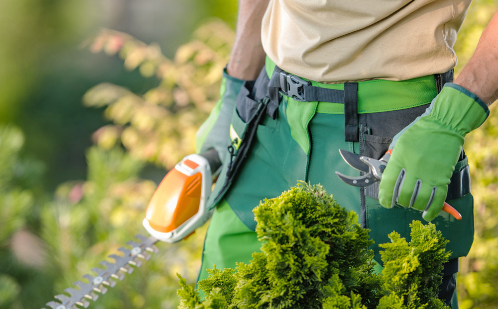 Faire appel à un jardinier paysagiste à domicile.