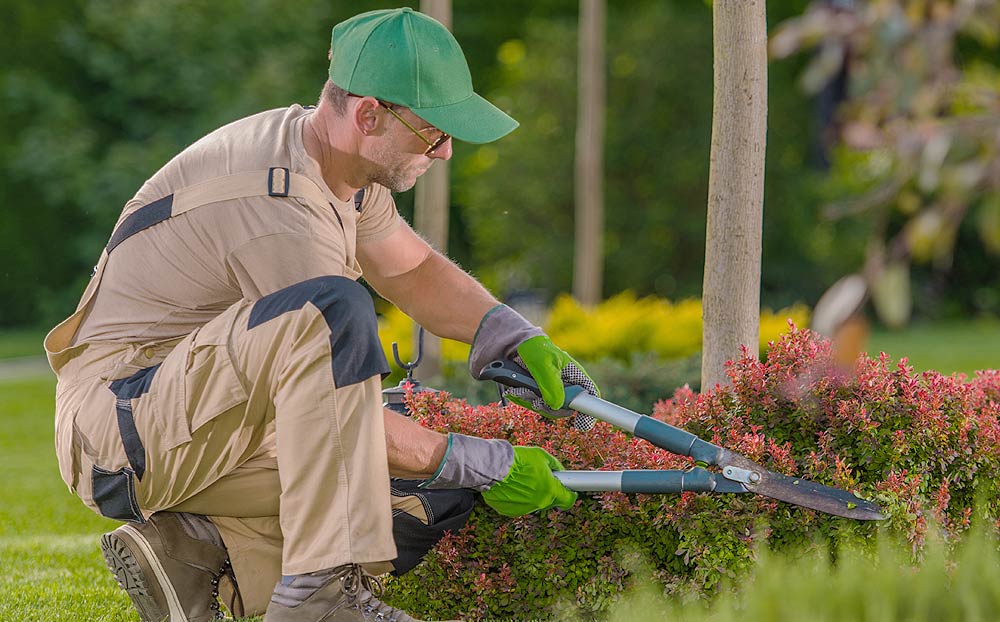 Jardinier professionnel à domicile.