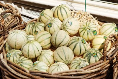Melon rare du Sud-Ouest