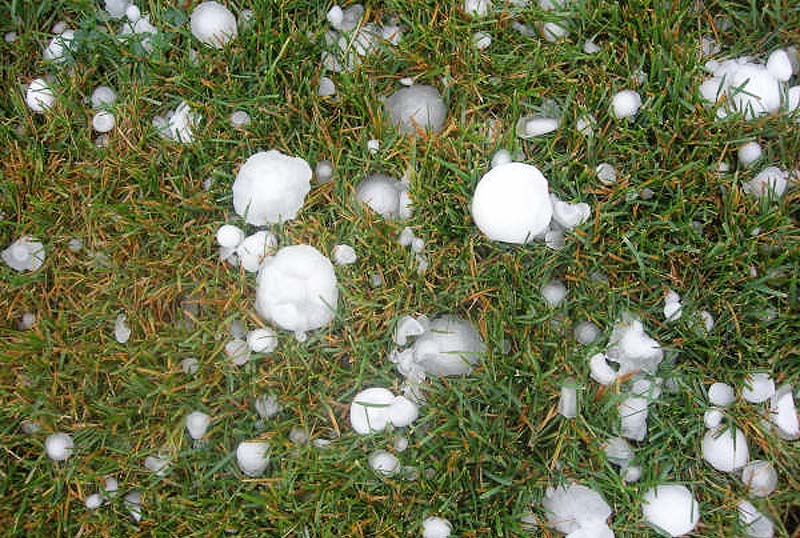 Jardin suite à un orage de grêle.