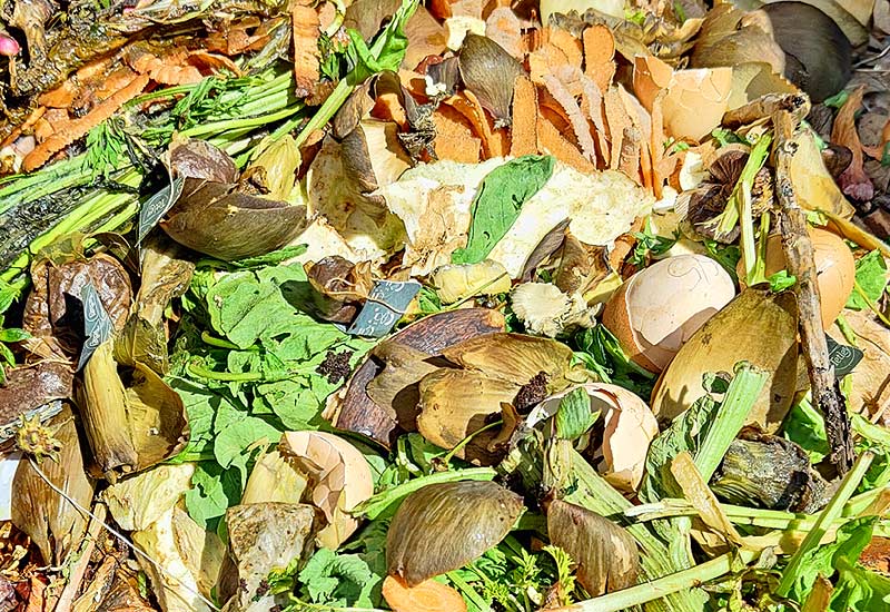 Compost avec les déchets verts en décomposition.