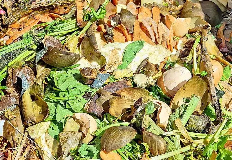 Compost avec les déchets verts en décomposition.