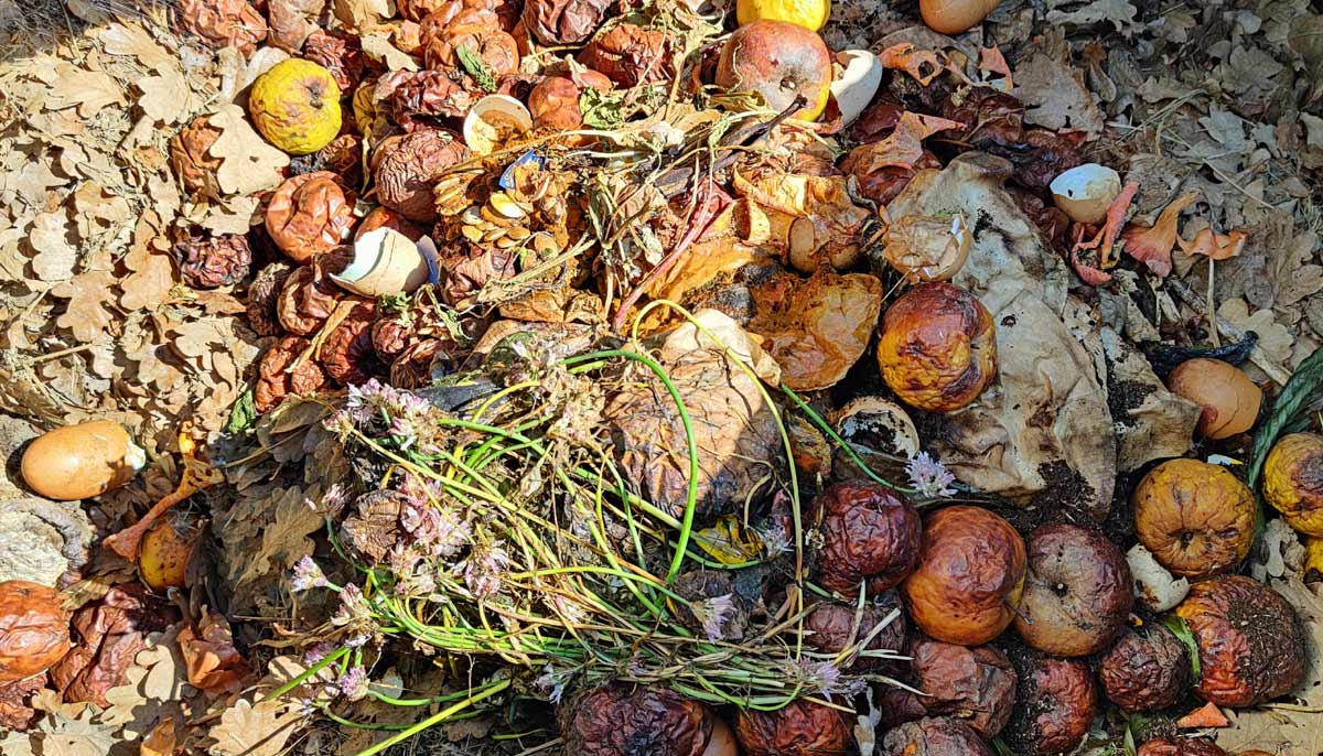Compost sans moucherons