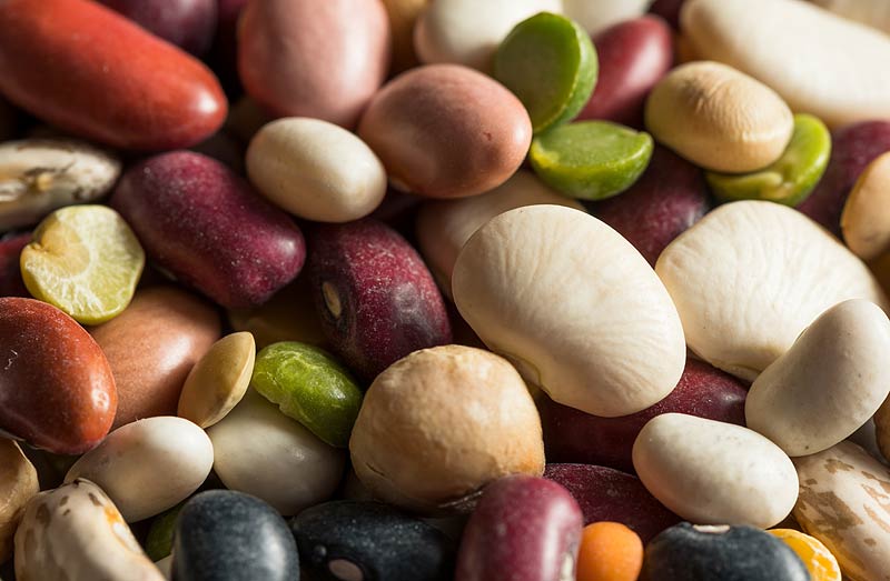 Haricots en grain.