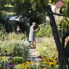Potager en septembre : semis, plantations et récoltes à planifier