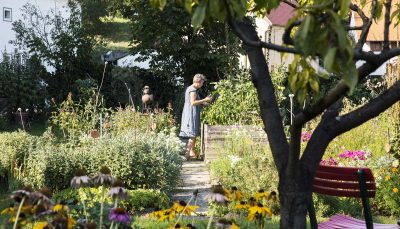 Potager en septembre : semis, plantations et récoltes à planifier