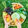fruits et légumes sont riches en vitamine D