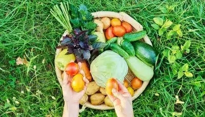 fruits et légumes sont riches en vitamine D