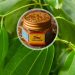 Plantes baume tigre