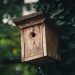 Comment choisir son nichoir à oiseaux ?