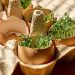 Les coquilles d'œufs sont-elles utiles pour vos plantations ?